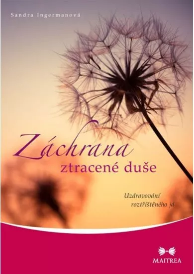 Záchrana ztracené duše - Uzdravování roztříštěného já