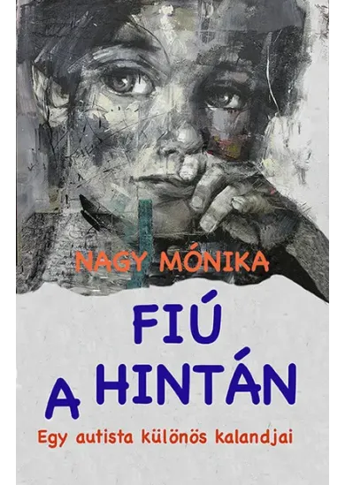 Fiú a hintán - egy autista különös kalandjai