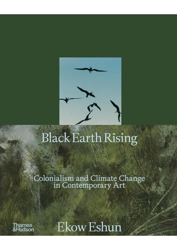 Ekow Eshun - Black Earth Rising