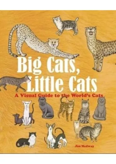 Big Cats, Little Cats