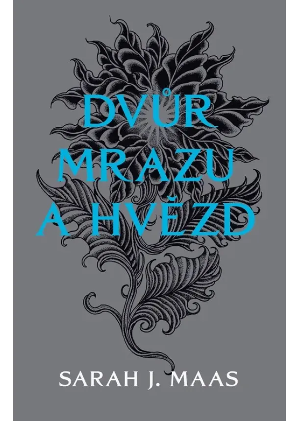 Sarah J. Maas - Dvůr mrazu a hvězd