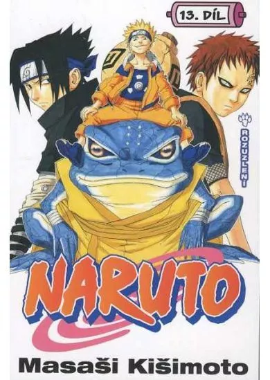 Naruto 13: Rozuzlení
