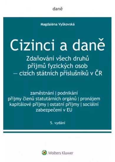Cizinci a daně