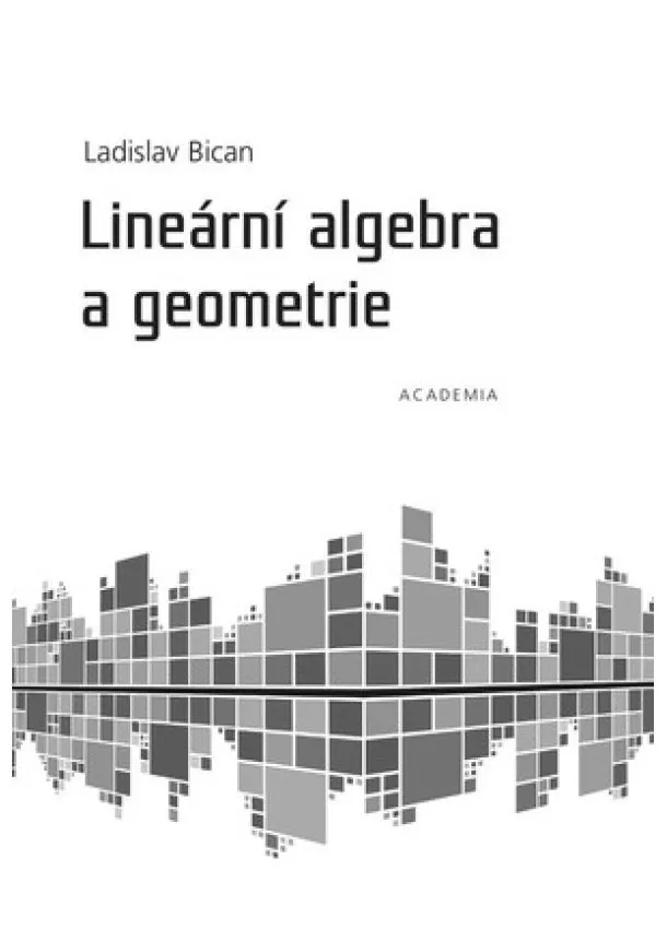 Ladislav Bican - Lineární algebra a geometrie