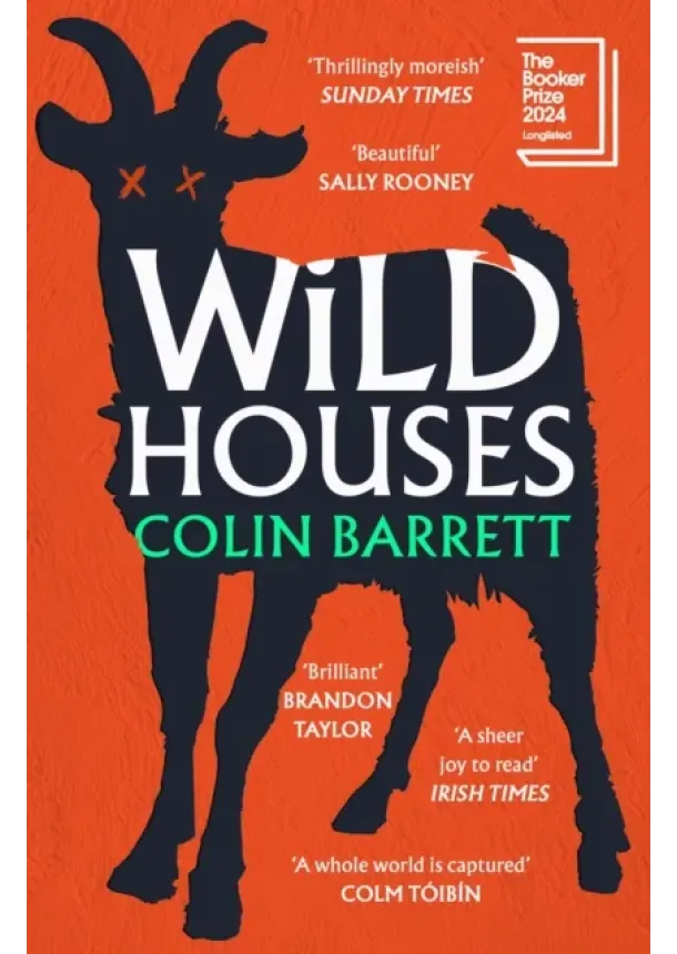 Colin Barrett - Wild Houses
