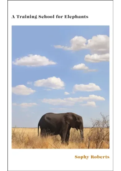 A Training School for Elephants