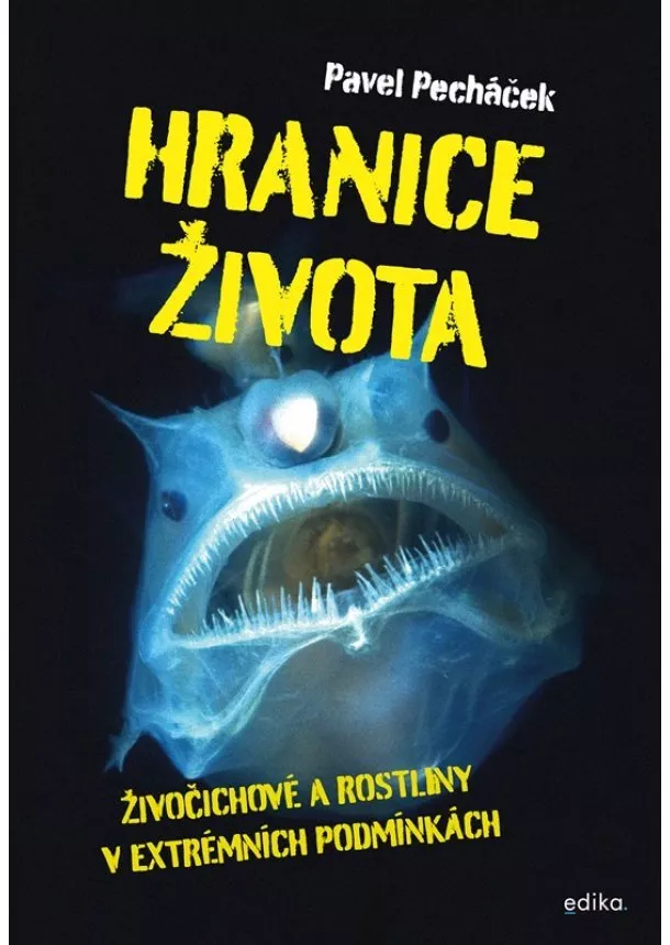 Pavel Pecháček - Hranice života