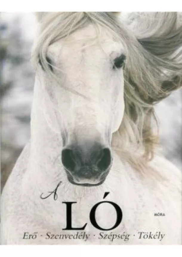 Elaine Walker - A ló /Erő, szenvedély, szépség, tökély (2. kiadás)