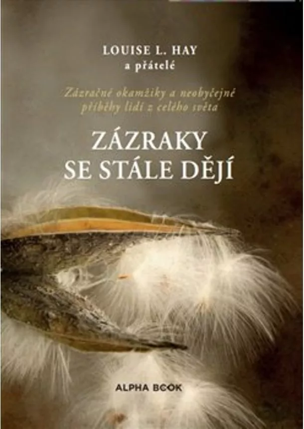 Louise L. Hay  - Zázraky se stále dějí