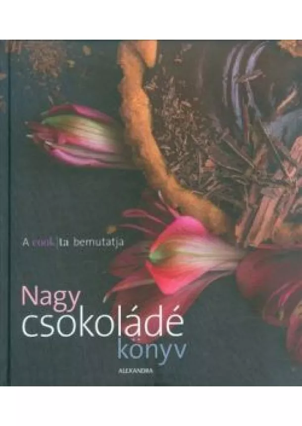 Filep Kata - Nagy csokoládé könyv