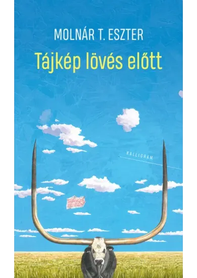 Tájkép lövés előtt