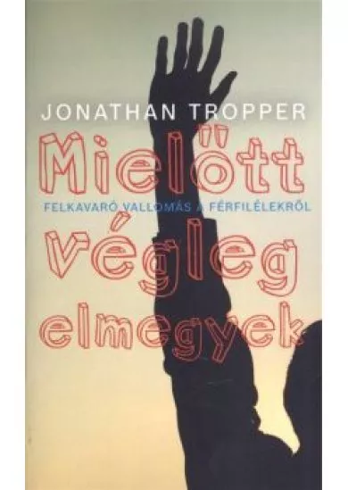MIELŐTT VÉGLEG ELMEGYEK /FELKAVARÓ VALLOMÁS A FÉRFILÉLEKRŐL