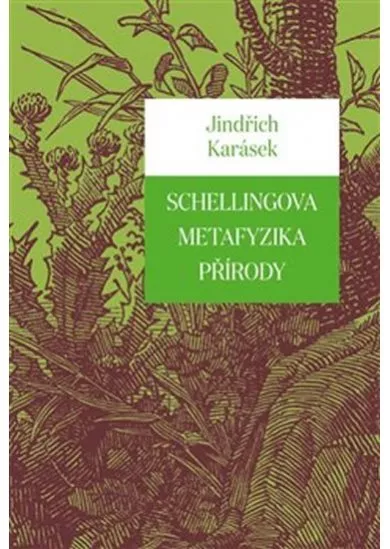 Schellingova metafyzika přírody
